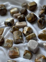 NaturalCobra Jasper tumbled crystals by Braun Homes √ê polished healing stones for meditation, Reiki, chakra balancing, anxiety relief, and spiritual energy protection in deep purple hues