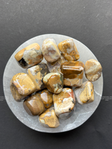 NaturalCobra Jasper tumbled crystals by Braun Homes √ê polished healing stones for meditation, Reiki, chakra balancing, anxiety relief, and spiritual energy protection in deep purple hues