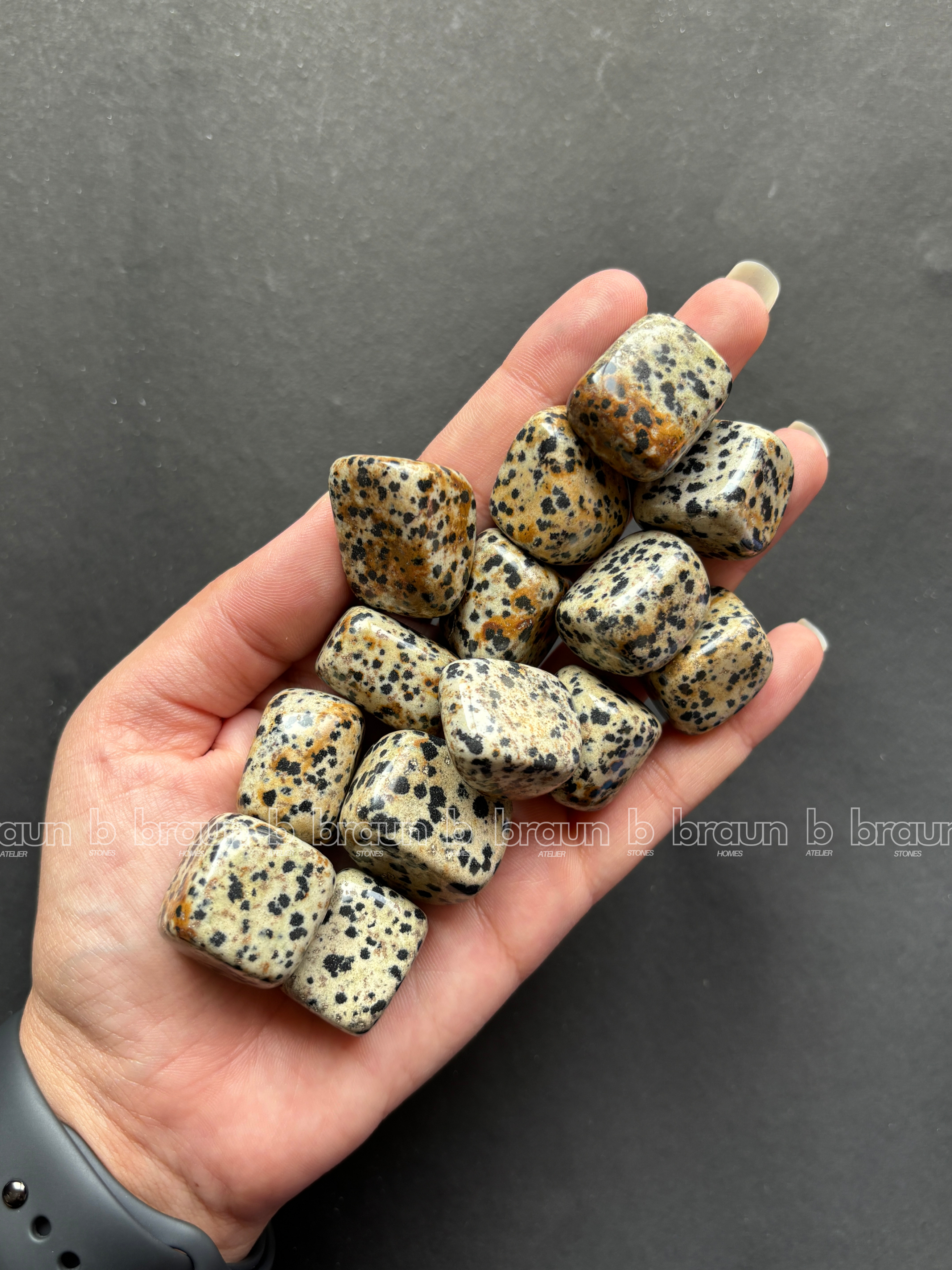 NaturalDalmation Jasper tumbled crystals by Braun Homes √ê polished healing stones for meditation, Reiki, chakra balancing, anxiety relief, and spiritual energy protection in deep purple hues