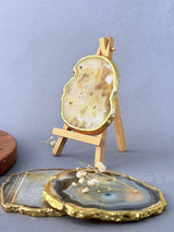 Indian Agate Coasters