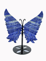 Lapis Lazuli Butterfly
