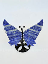 Lapis Lazuli Butterfly