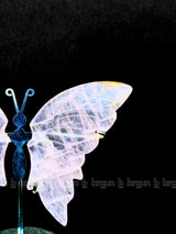 Rose Quartz Butterfly