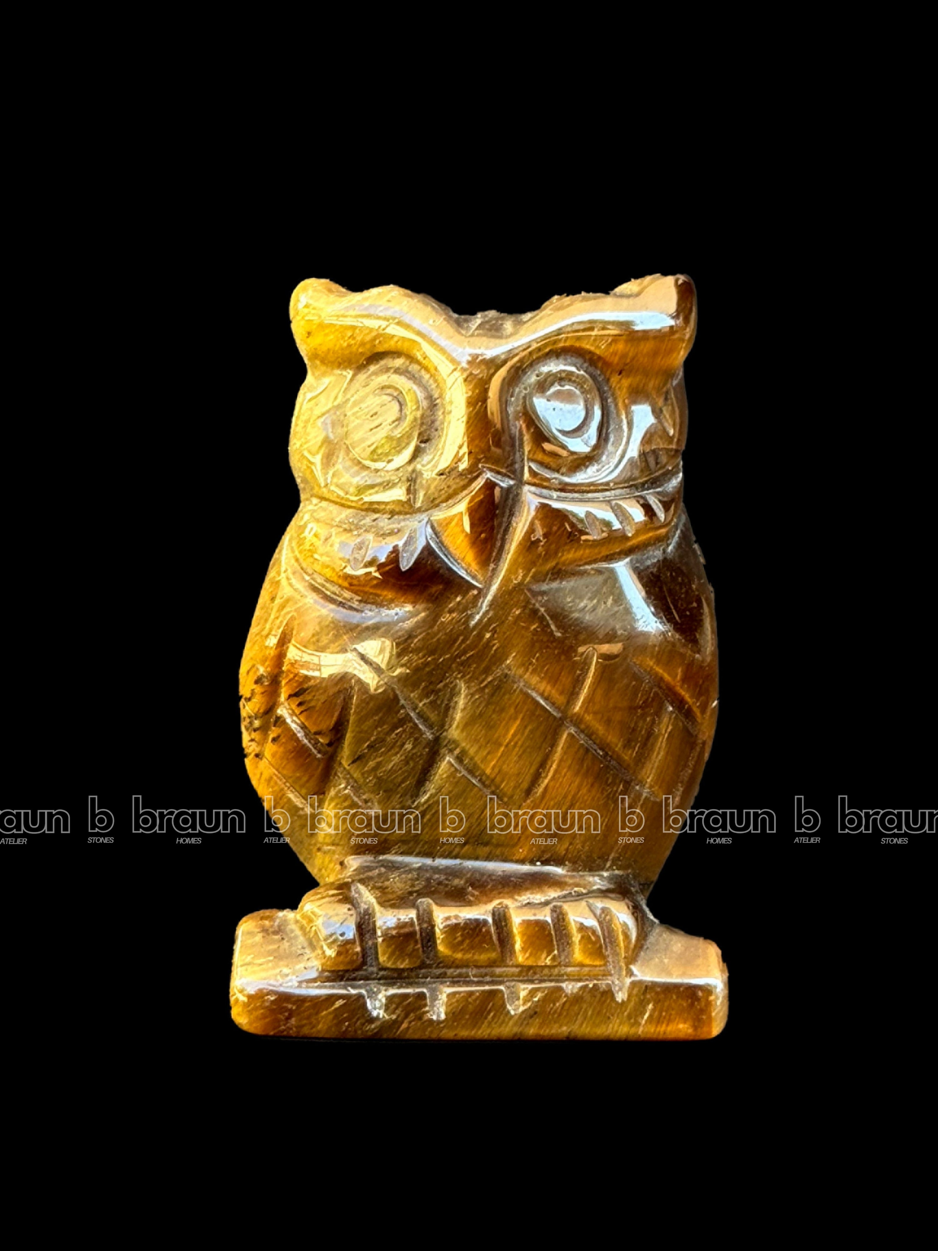 Tiger Eye Owl Medium thumbnail 2