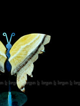 White Onyx Butterfly