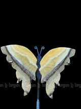 White Onyx Butterfly