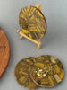 Tiger Eye Round Coasters