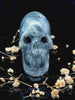 Larvikite Skull